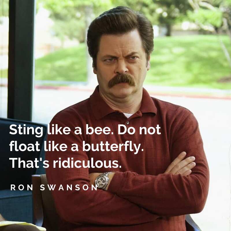 Ron Swanson quotes