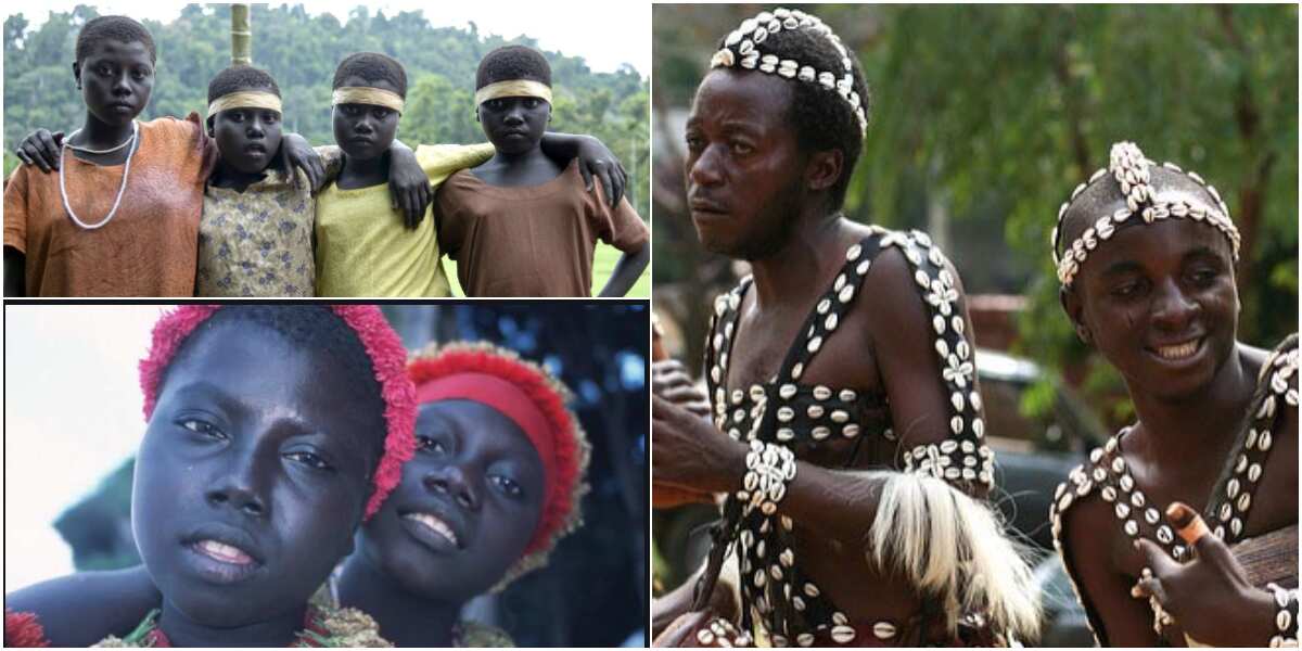 Jarawa People One Of Earlier Tribes Of India You May Not Have Seen Legit Ng