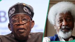 Soyinka gives reason he won’t comment on Tinubu’s administration until next year