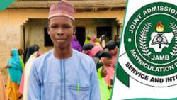 JAMB 2024: Nigerian boy scores aggregate of 181 in UTME, gets 40 in English and maths