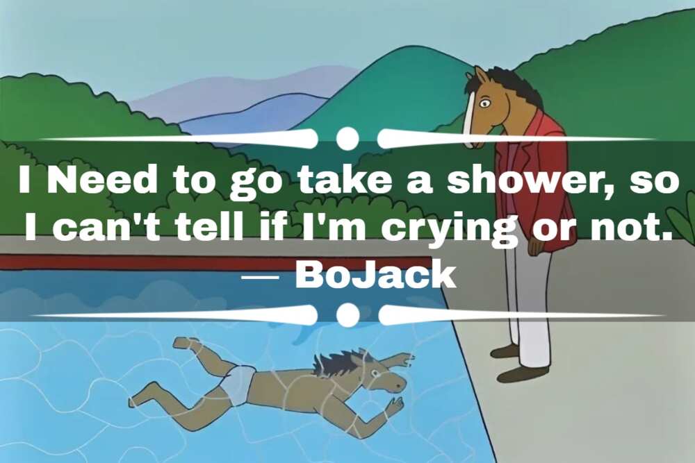 45 best BoJack Horseman quotes that everyone can relate to - Legit.ng