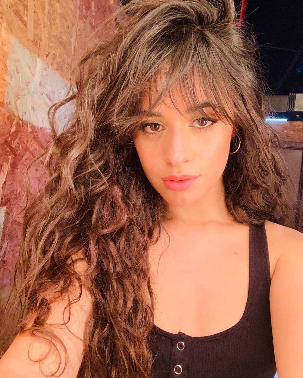 Camila Cabello bio age, height, boyfriend, net worth, songs Legit.ng