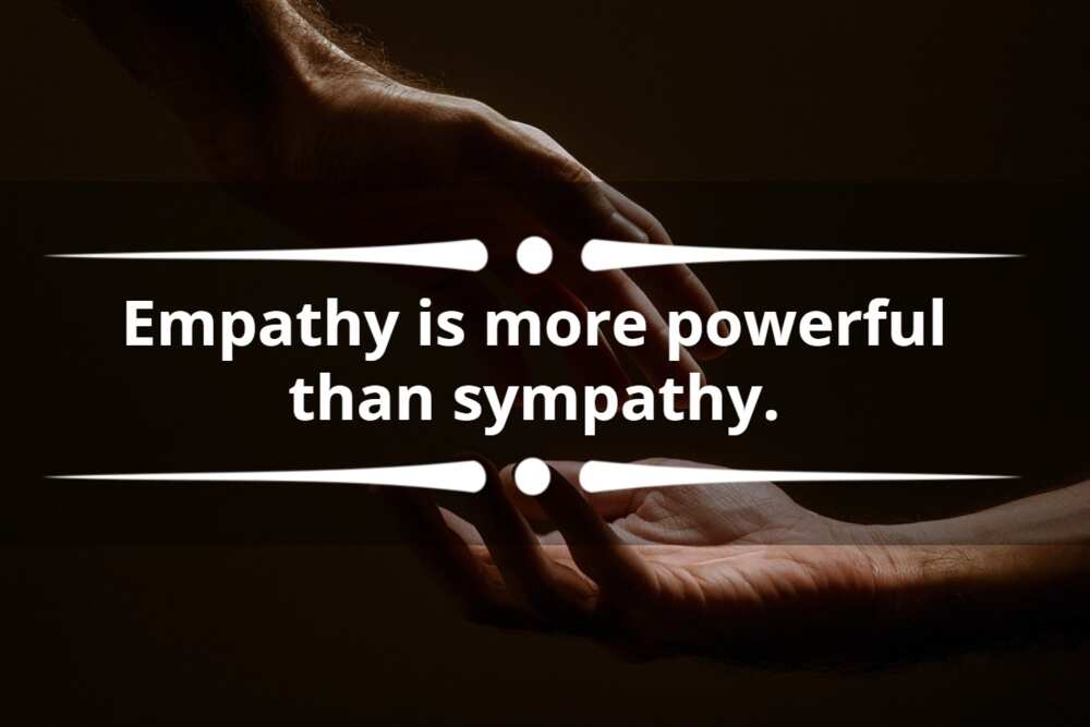 Sympathy quotes, Empathy quotes, Empathy