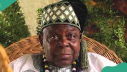 Paternity saga: Popular Ifa Priest offers alternative to Nigerians, “Use Yoruba traditional DNA”
