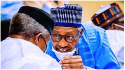 Report details how Buhari's poverty reduction strategy impacted millions of Nigerians