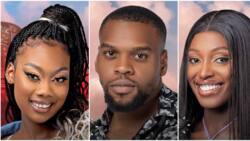 BBTitans: "This is sad" - Reactions trail Blue Aiva, Nana, Miracle OP's eviction from the house