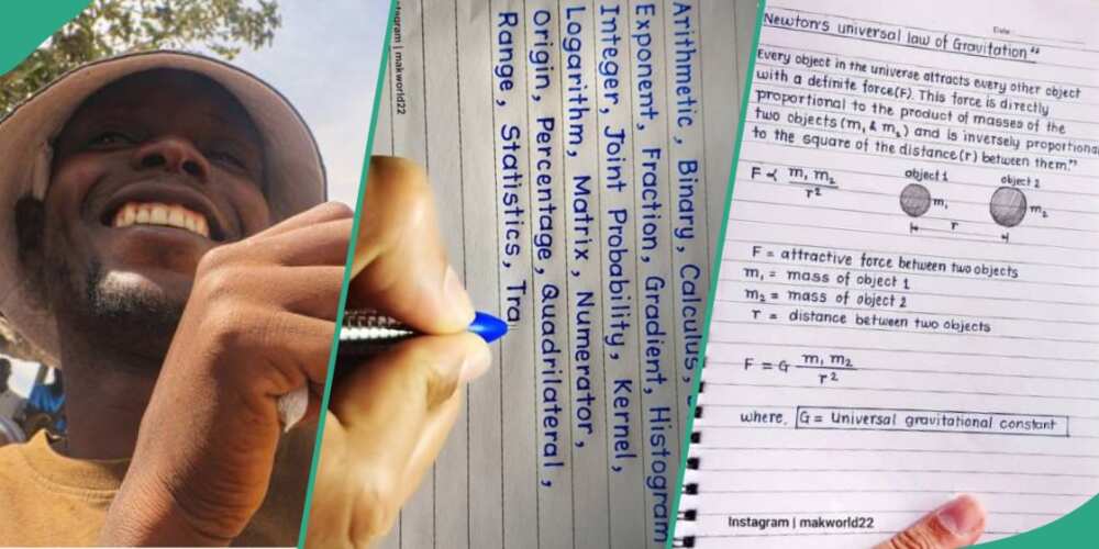 Man's fine handwriting goes viral