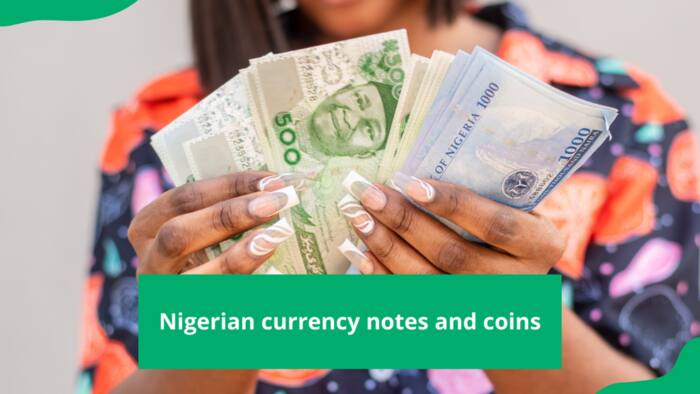 Nigerian currency notes and coins: historical and visual features of the Naira