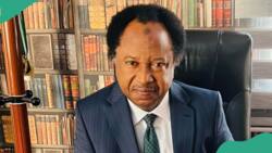 "Exercise in futility": Shehu Sani reacts as reps move to end presidential system of govt