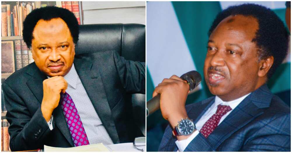 Shehu Sani throws a jibe at unconfirmed Tinubu’s ministerial nominee/Shehu Sani throws jibe at El-Rufai for not being confirmed by Senate as a minister