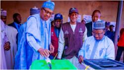 2023 Katsina Governorship Election: Winner finally emerges at Buhari’s Ward as result trickles in