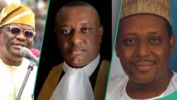 Jonathan, Buhari's ex-ministers in Tinubu's cabinet and their portfolios