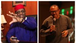 Top APC chieftain speaks on how Peter Obi, Labour Party will fare in 2023 election