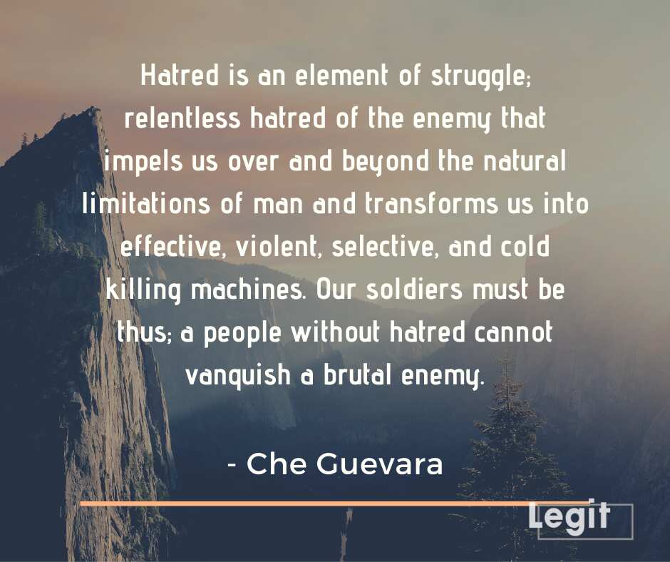 35 Inspirational Che Guevara Quotes On Success