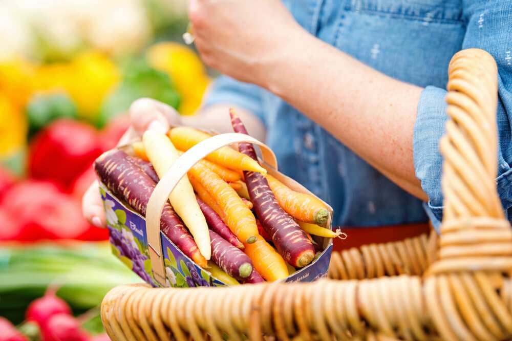 Aliments Aliments