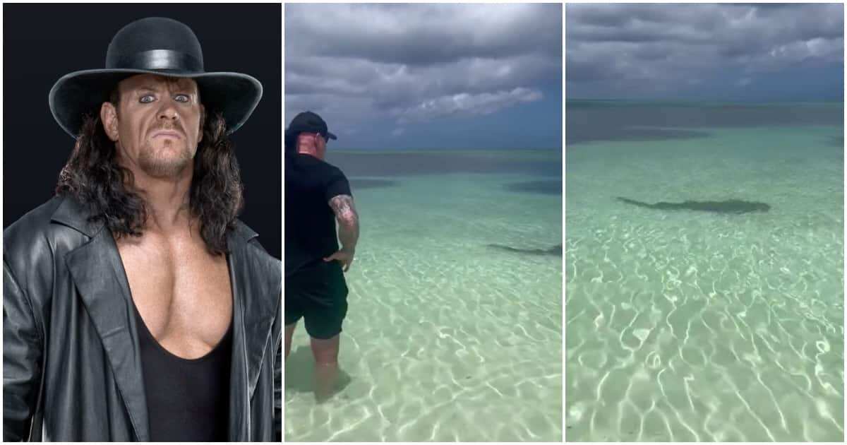 Legendary Wrestler The Undertaker Scares Off Shark At Beach, Impresses ...