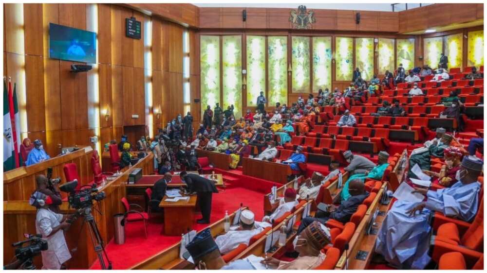 Electoral Act: National Assembly members should bury their heads in shame over section 84(12)
