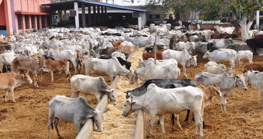 Miyetti Allah na yi wa Yarbawa barazana, ba za a kai masu abinci ba sai an kare Fulani