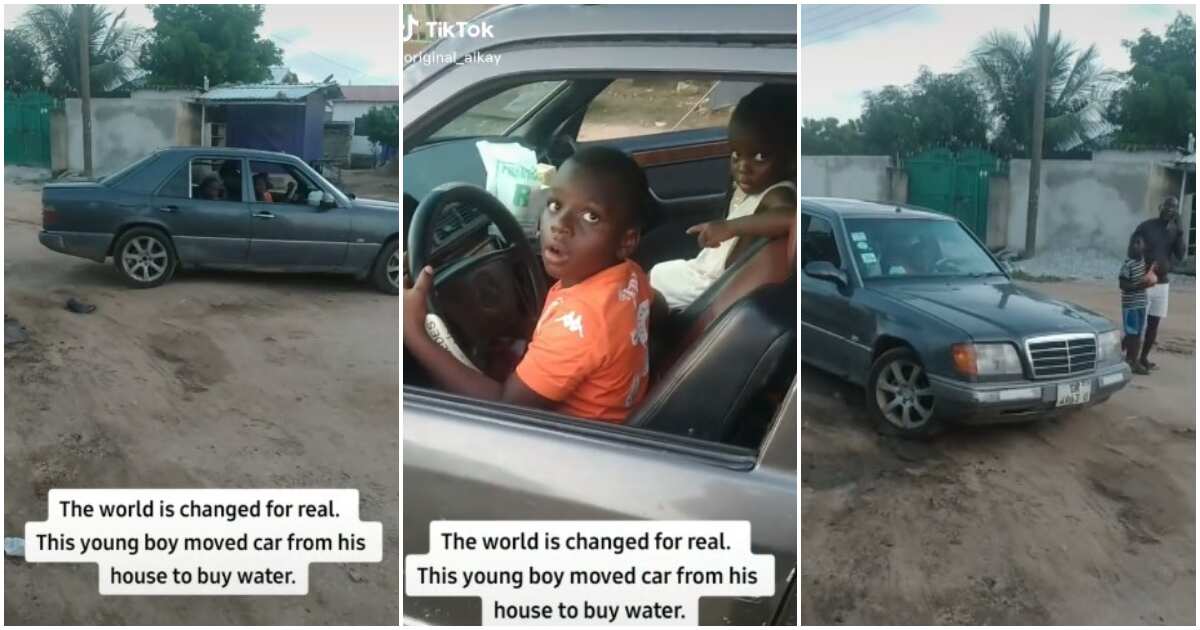 Small boy store driving car