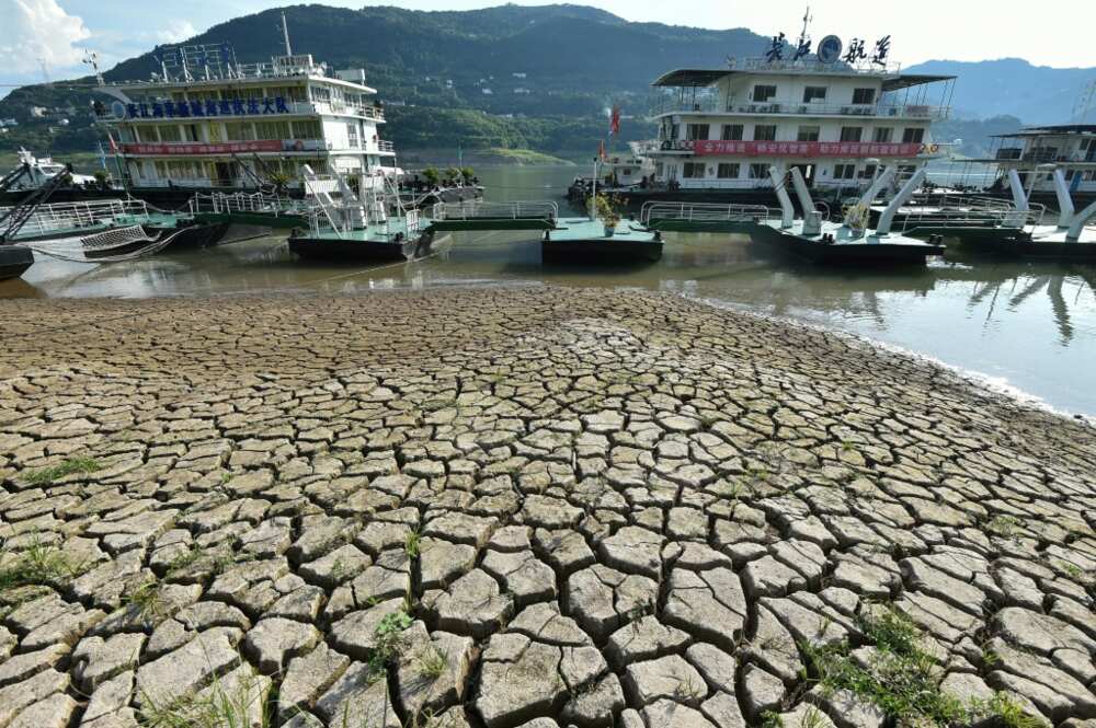 China's searing heat is drying up the critical Yangtze River, with water flow on its main trunk about 51 percent lower than the average over the last five years, state media outlet China News Service reported