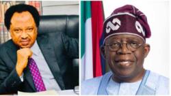 'Yan Najeriya Za Su Fara Rokon A Barsu A Talaucinsu', Shehu Sani Ya Yi Martani Kan Shirin Gwamnatin Tarayya