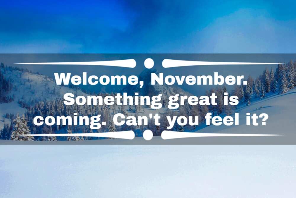 Welcome November quotes