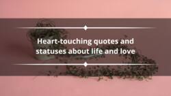 100 heart-touching quotes and statuses about life and love