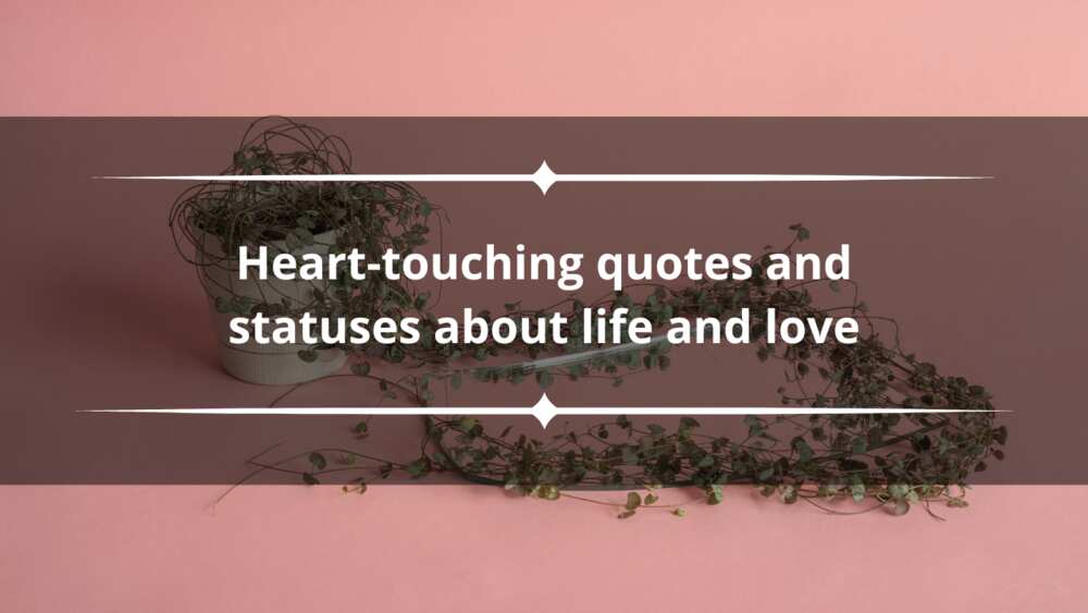 heart-touching quotes