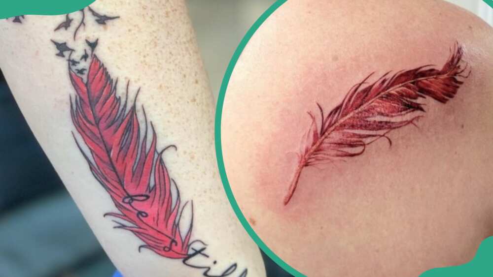 Cardinal feather tattoos