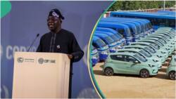 BREAKING: Tinubu launches another 107 gas, electric-powered buses