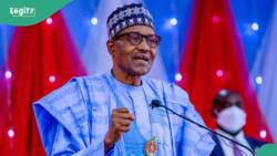 Eid-el-Fitr: “Unite, support our leaders,” Buhari begs Nigerians