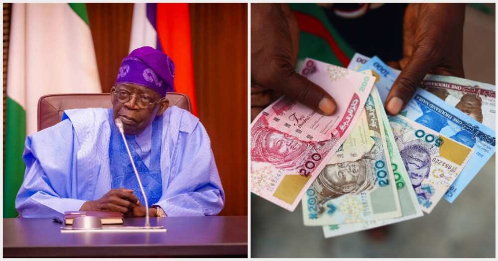 Naira to dollar and Tinubu's government plans