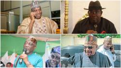 6 PDP senators-elect who may vie for position of minority leader