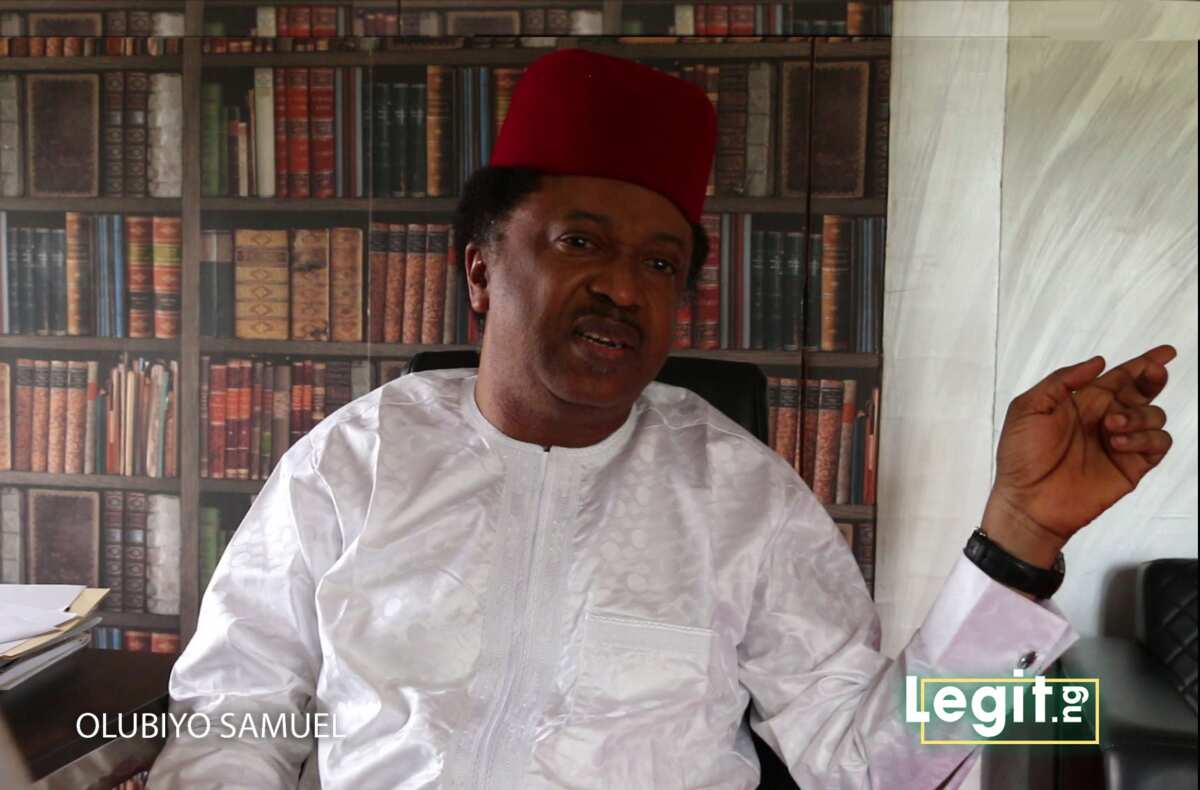 2023: Top northern ex-lawmaker Shehu Sani releases video on how Igbos can take presidency