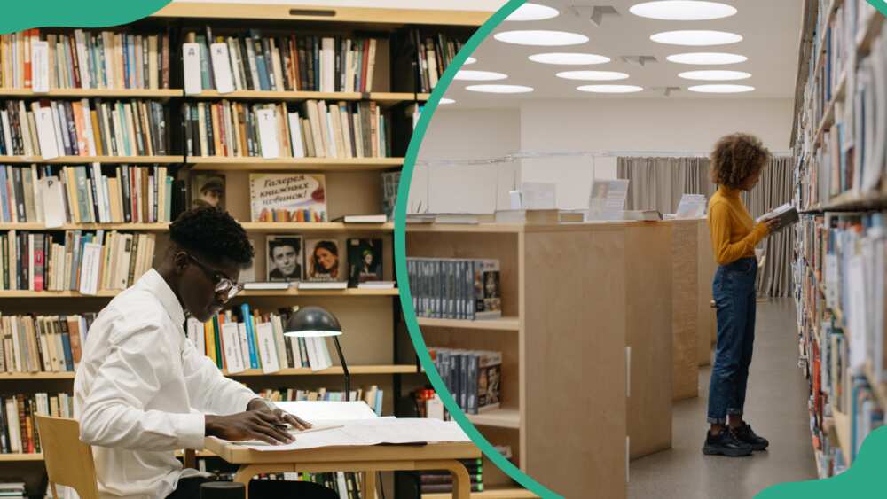 Students in the library reading