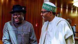JUST IN: Presidency reveals details of discussion between Jonathan, Buhari