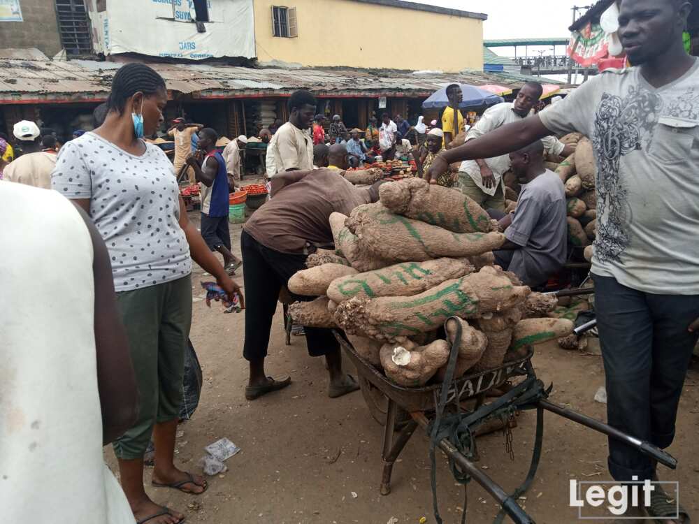 Yam is very expensive at the market; especially the big-sized yam. Photo credit: Esther Odili Yam is very expensive at the market; especially the big-sized yam. Photo credit: Esther Odili