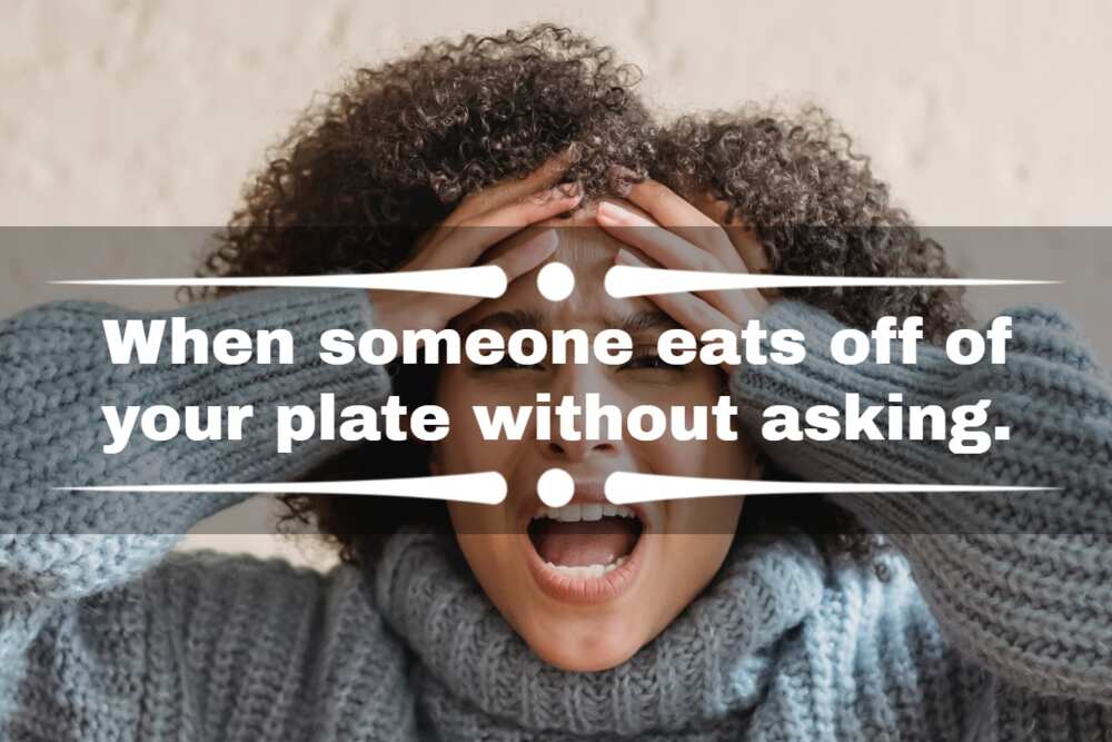 pet peeve examples pet peeve examples