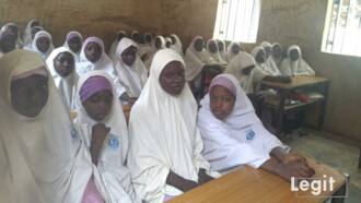 Over 10 million Nigerian girls not in school, UNICEF warns, adopts new initiatives