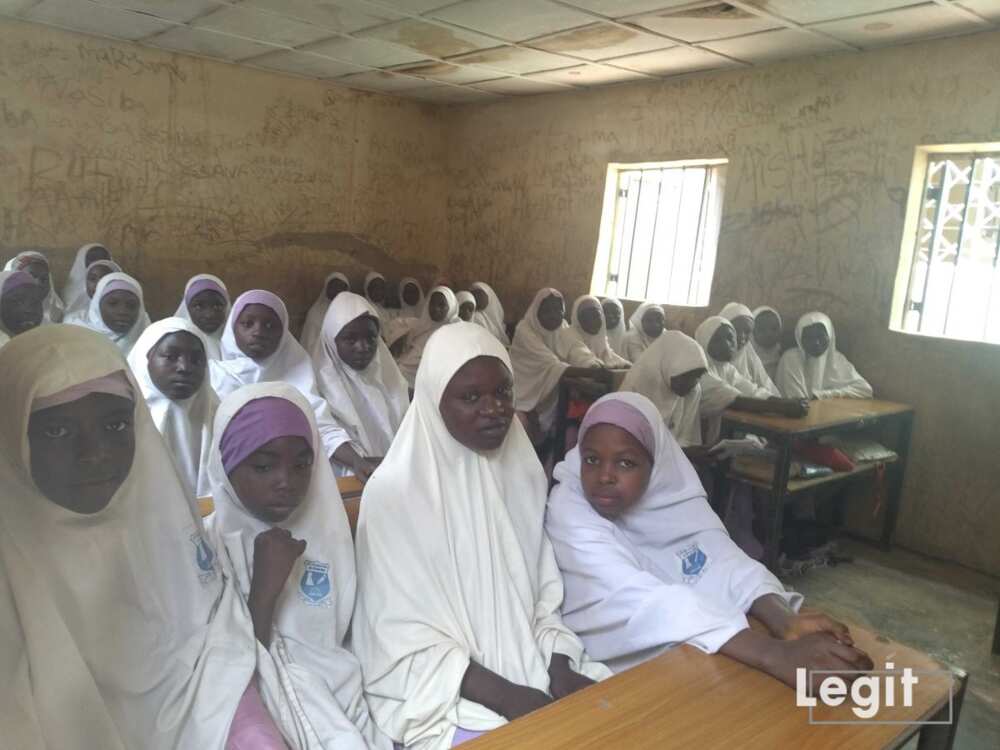 Nigerian girls, education, UNICEF, Kano