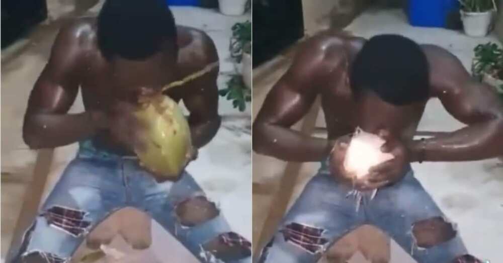 Man Shows Power, Peels Coconut Husks with Bare Teeth in Video, Many React