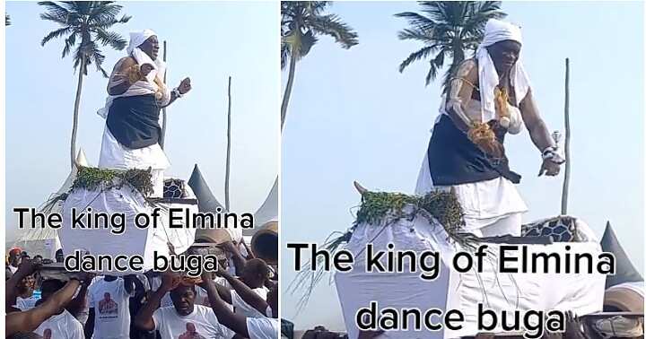 King of Elmina, Buga