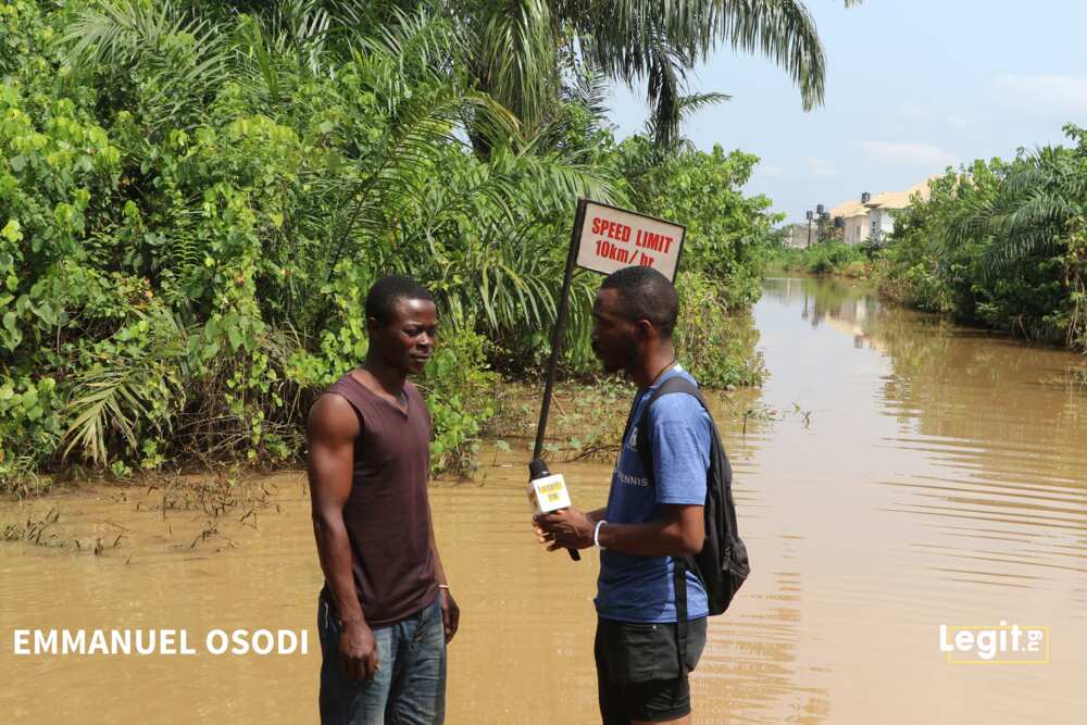 Crocodiles, wild animals invade Ogun community