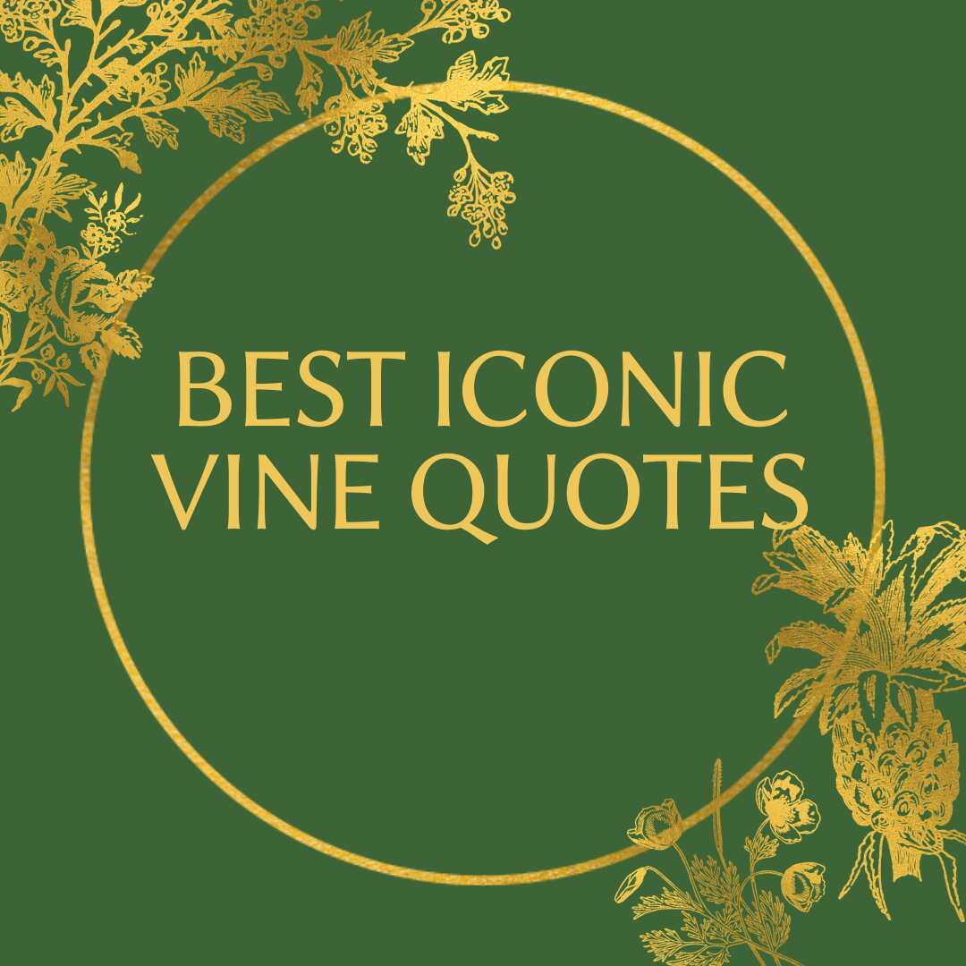 Best iconic Vine quotes people still recite on a daily basis 