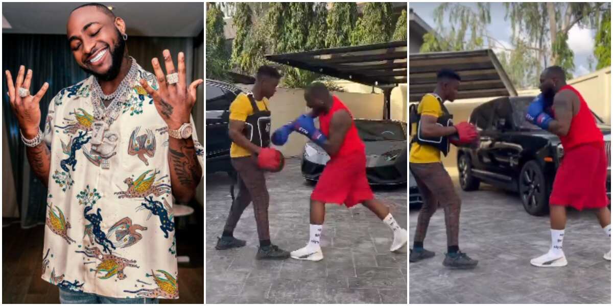 Nobody messes with OBO: Davido goes hard on trainer as he shows off immaculate boxing skills