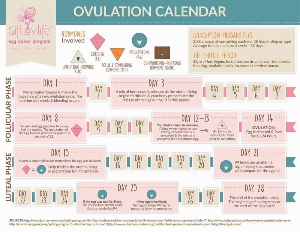 menstrual cycle chart safe days