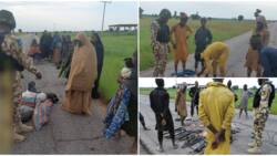 Massive win for military as 19 Boko Haram, ISWAP fighters, families surrender to troops