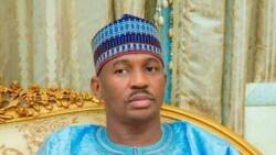 Sokoto: Gov Aliyu approves mass sacking of Tambuwal's appointees