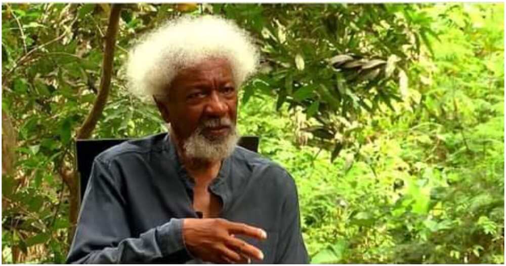 IPOB, Nobel laureate Wole Soyinka, the federal government, farmer-herder crisis, Miyetti Allah