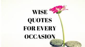 wise nigerian proverbs